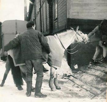 Eva Asplund och Glimrick