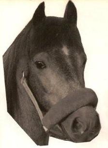 Gustaf