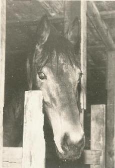 Heddon Lass