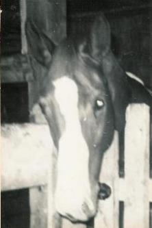 Infantina